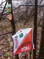 Второй этап кубка Костромской области по спортивному ориентированию Второй этап кубка Костромской области по спортивному ориентированию
